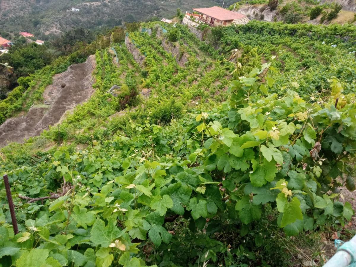 Casa Rural Quilla Agulo エクステリア 写真