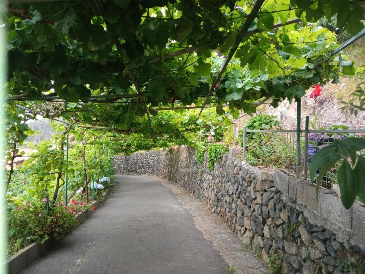 Casa Rural Quilla Agulo エクステリア 写真