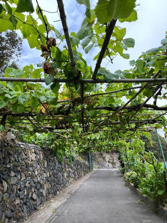 Casa Rural Quilla Agulo エクステリア 写真